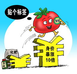 有机食品市场乱象调查 认证花钱就能买，源头管控亟待加强